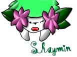shaymin pokemon