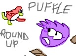 Amethyst Puffle Round Up!