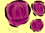 rose*