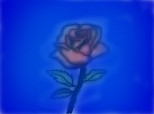 trandafir de la moldova=))