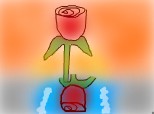 reflectia unui trandafir