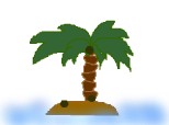 palmier pe insula