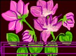 Desen 24436 modificat:Florile purpurii