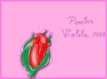 un mic boboc de trandafir pt.violeta1997