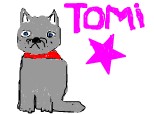 Tomi, star de cinema