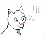 The cat