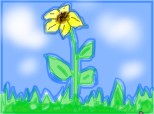 cica e floarea soarelui :))