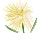 SakuraBlossom