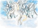 winter horse