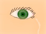 eye (==)
