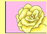 un trandafir galben