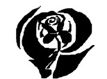 alb negru trandafir 2