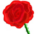 un trandafir:D:D