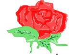 frozen rose sper sa ve place pt ca sunt noua si nu ma pricep bn la desen
