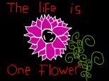 Viata este ca o floare