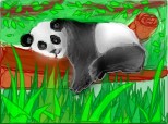 Panda ursuletul