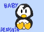 baby_penguin
