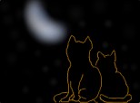 pisicutze sub clar de luna