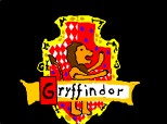 Harry Potter-Gryffindor