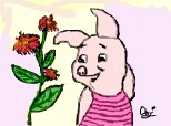 purcelus roz