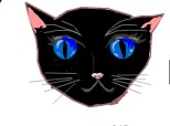 pisica neagra cu ochi albastri