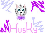 Sweety Husky