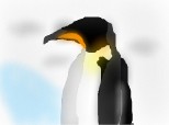 Pinguinul meu