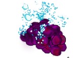 purple grape