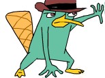 Perry the platypus.