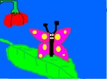 buterfly