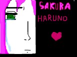 sakura-chan