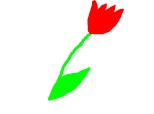 floare pt. concursul lu crina roxana