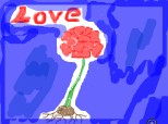 trandafirul dragostei