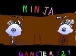 Ninja  2
