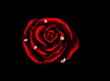 The Blooded Rose