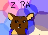 Zira dog