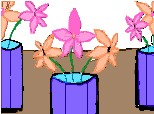 tre vaze cu flori cu cate trei flori
