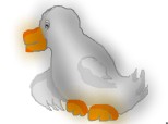 Ducky Dack