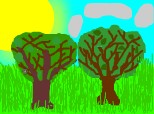 Doi copaci