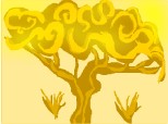 copacul soarelui