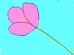 o floare