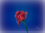 Trandafir Rosu