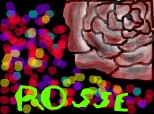 rosee trandafir