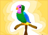 papagalul meu