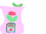 flori (desen pe o vaza)