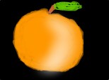 o portocala