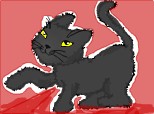 Pisica Neagra