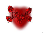 inima si trandafiri
