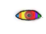 coloured eye