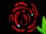 Trandafit cu roua desen modificat:trandafir